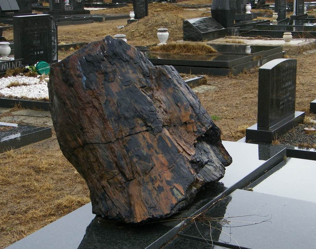 Steynsrus cemetery